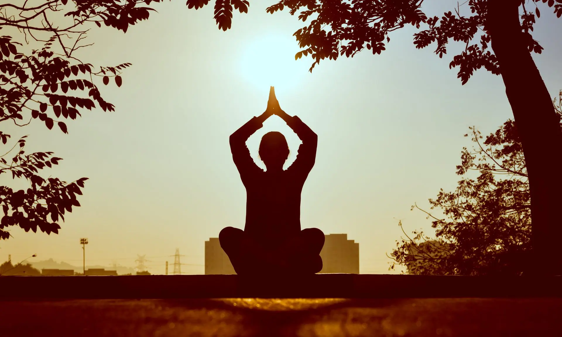 Wellness and <yellow-tag>Retreat</yellow-tag>